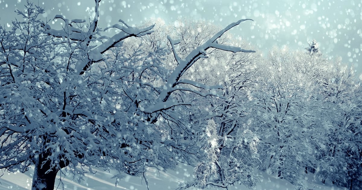 Talvised matkakohad Baltikumis, mida rendiautoga külastada.