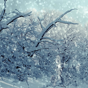 Talvised matkakohad Baltikumis, mida rendiautoga külastada.