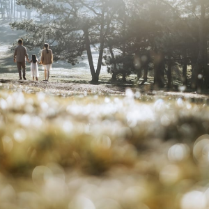 Väikebussi rendi soodsad pakkumised suveks